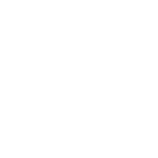Branding, Logo Design & Social Media Management - webionyx