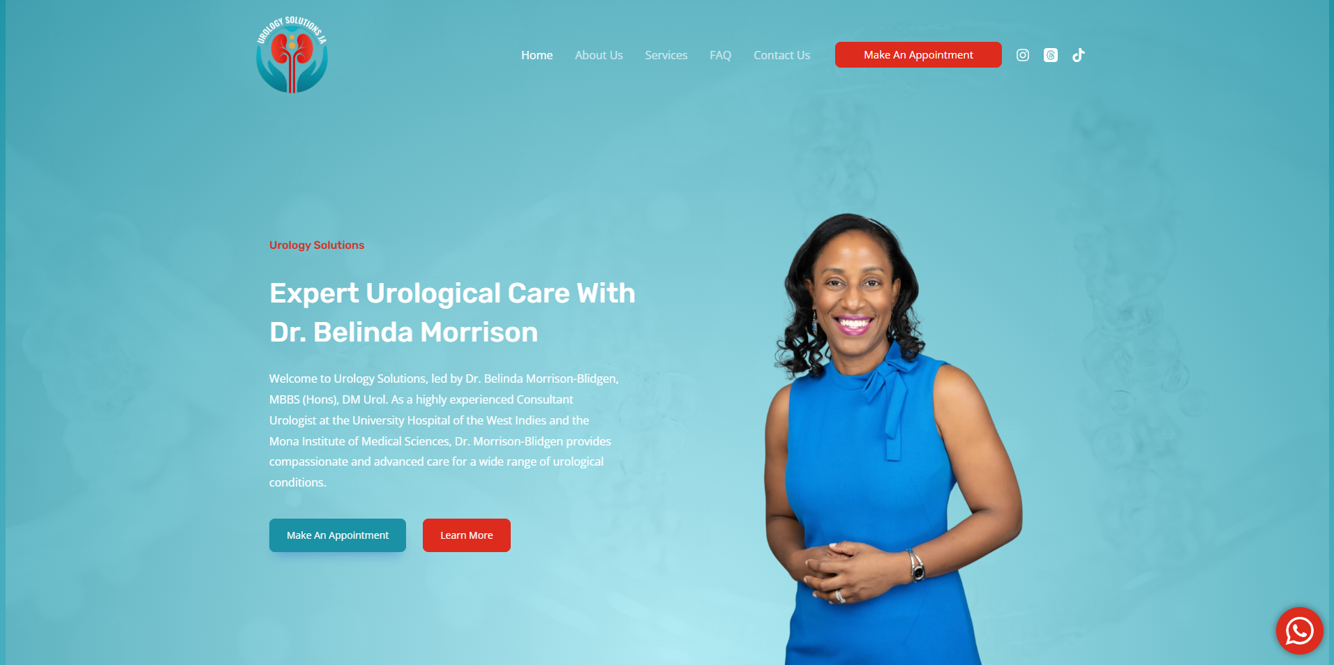 website design and development, webiOnyx