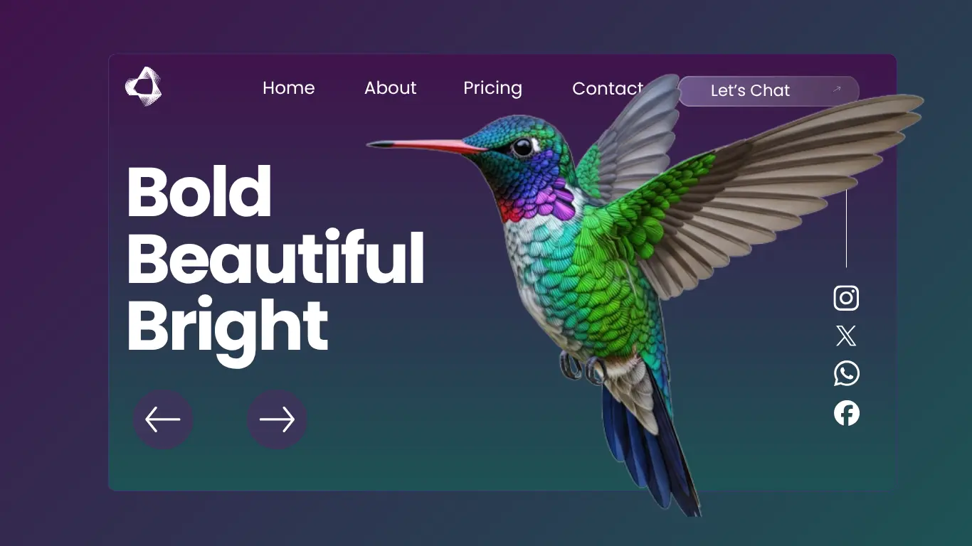 website design and development, webiOnyx